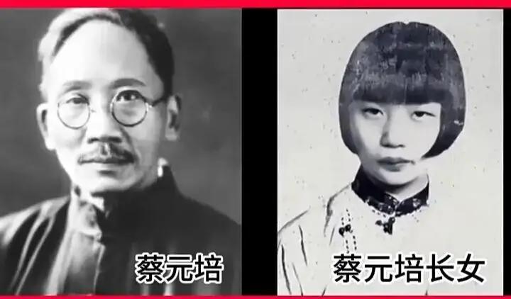 北大校长蔡元培的“软肋”：独宠长女一生7子，她离世后老父吐血而亡

这话听着像野
