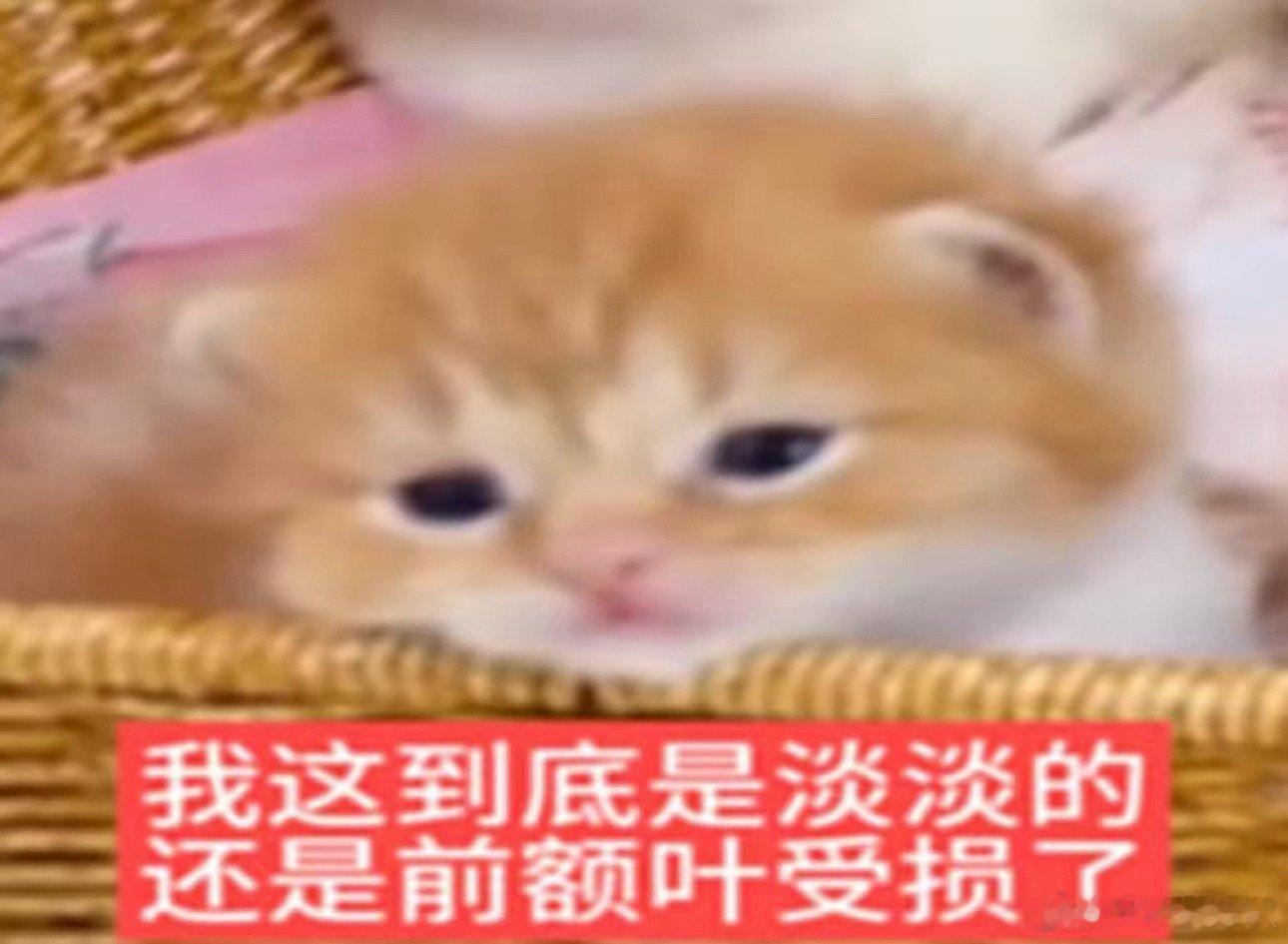震撼消息咱们枣的文档被误删了咪的一万五大纲