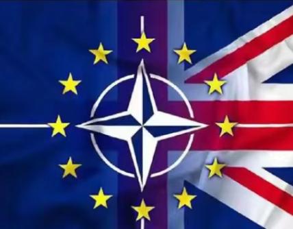 本月中旬，北约30个成员国将组团开展史上规模最大、级别最高的访日行动。

说白了