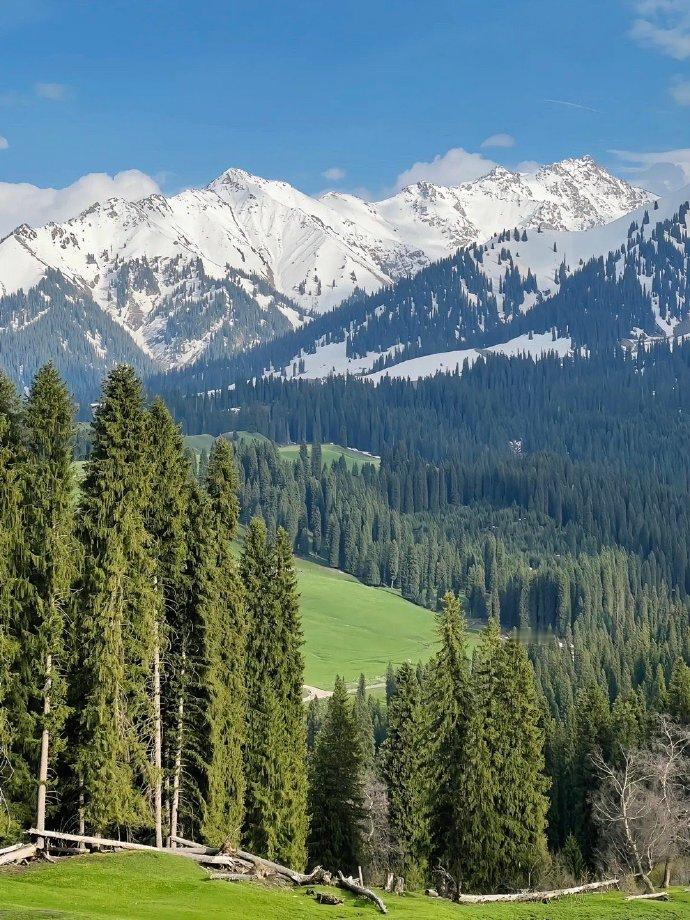 总往那拉提凑热闹？快停下！库尔德宁才是私藏的宝藏旅行地，人少景美，去了直接爱上！