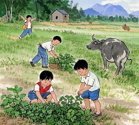 感觉那些日子是上辈子的事情了明明才过去没多久，回忆起来却像隔着一生。那些一起笑、