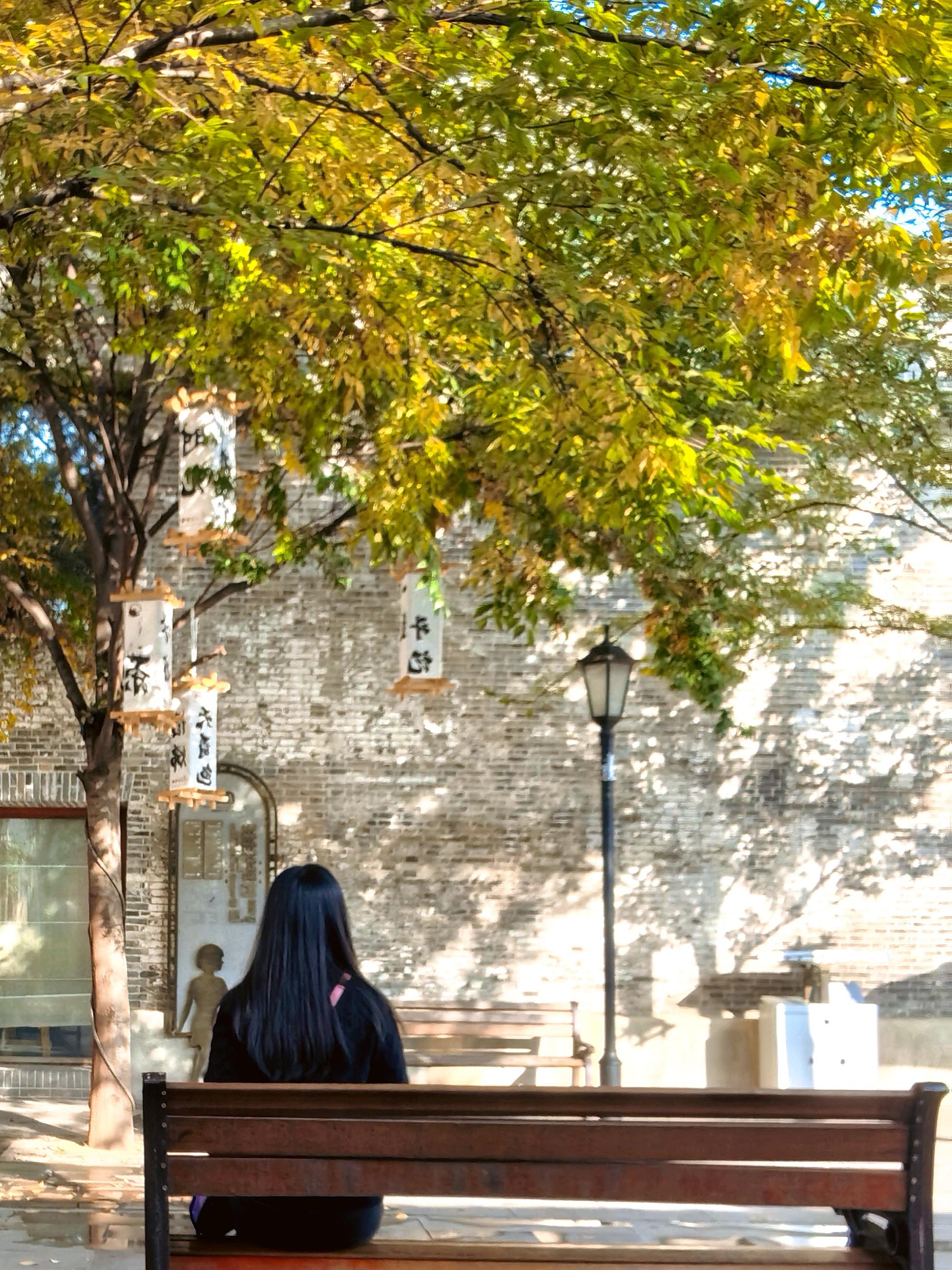 我一个人来了南京   才发现南京是两个人的城市……