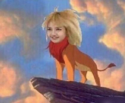 小狮王辛巴~~~ ​​​