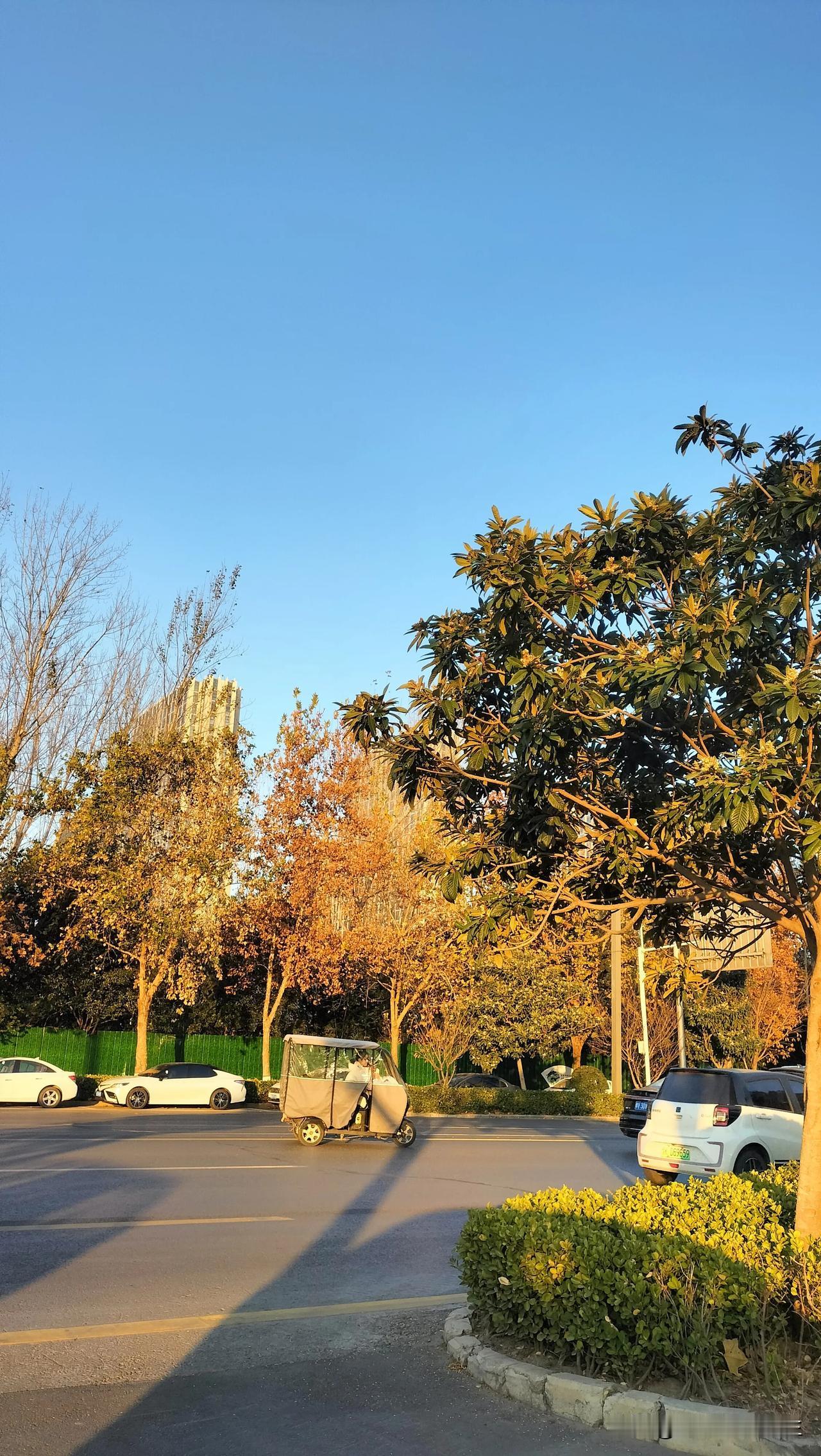 紧张忙碌的节奏，常常让人忘记了生活的初衷。不妨静下心来，好好欣赏一下身边的风景。