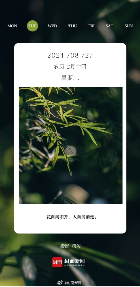 #小封日历# 早上好，今天周二！你几点醒的？[我来了] ​​​