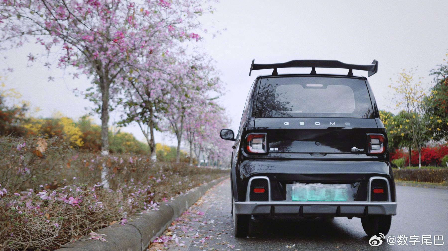 尾巴生活熊猫卡丁开进春天～譚英雄 herotan 