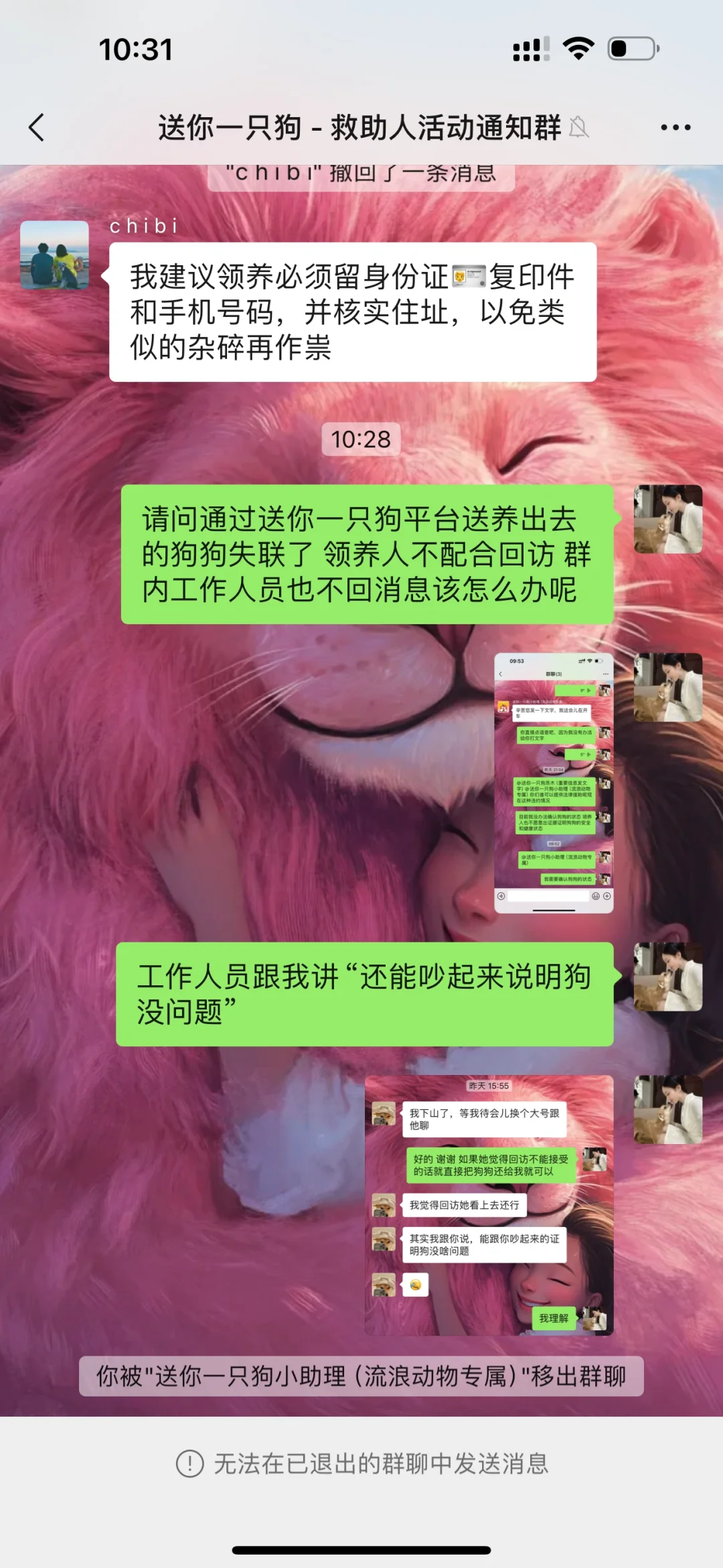 救助人被送你一只狗移除了群聊