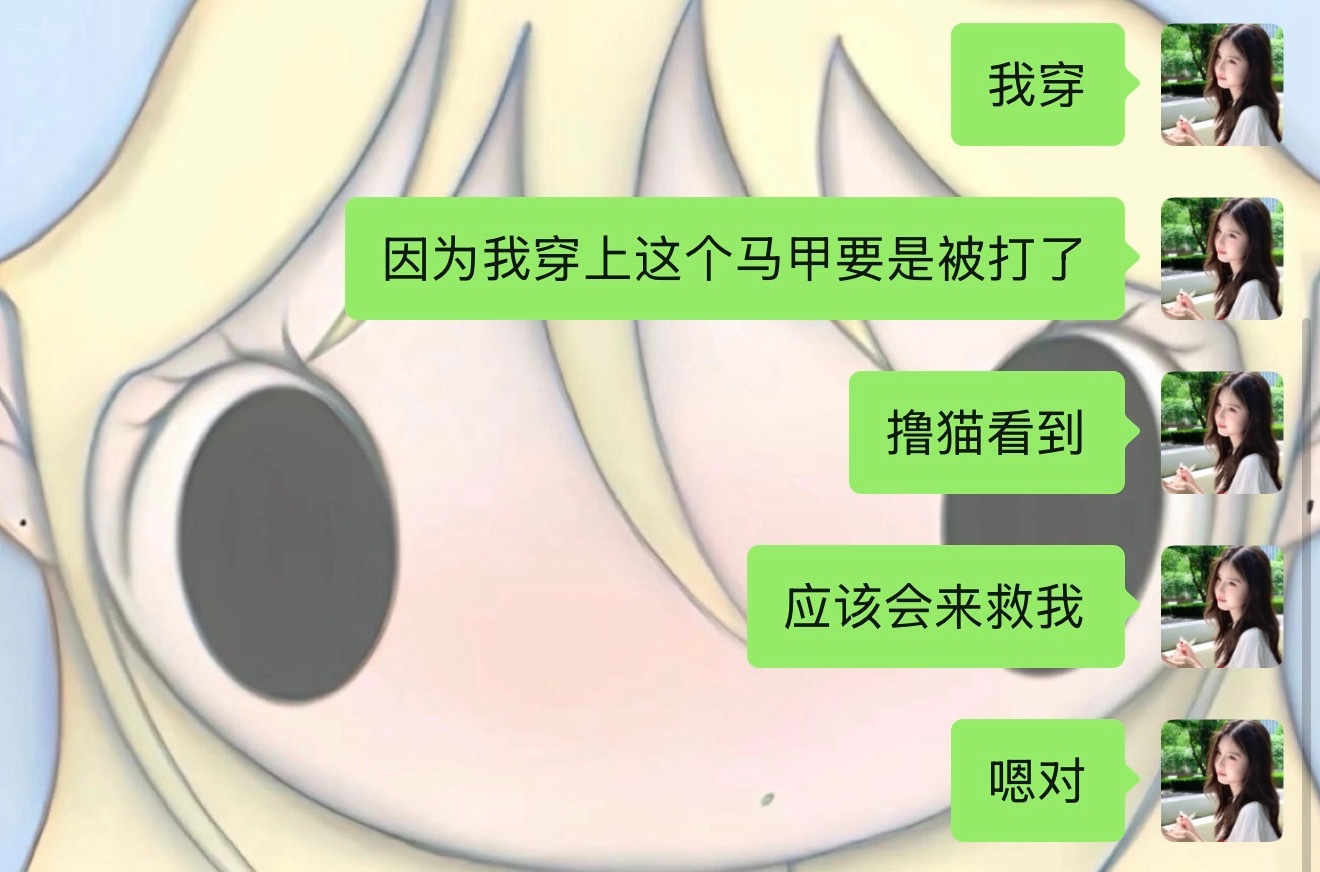 马甲我是真穿