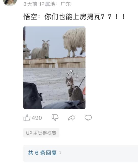啊哈哈哈我被师父点赞了