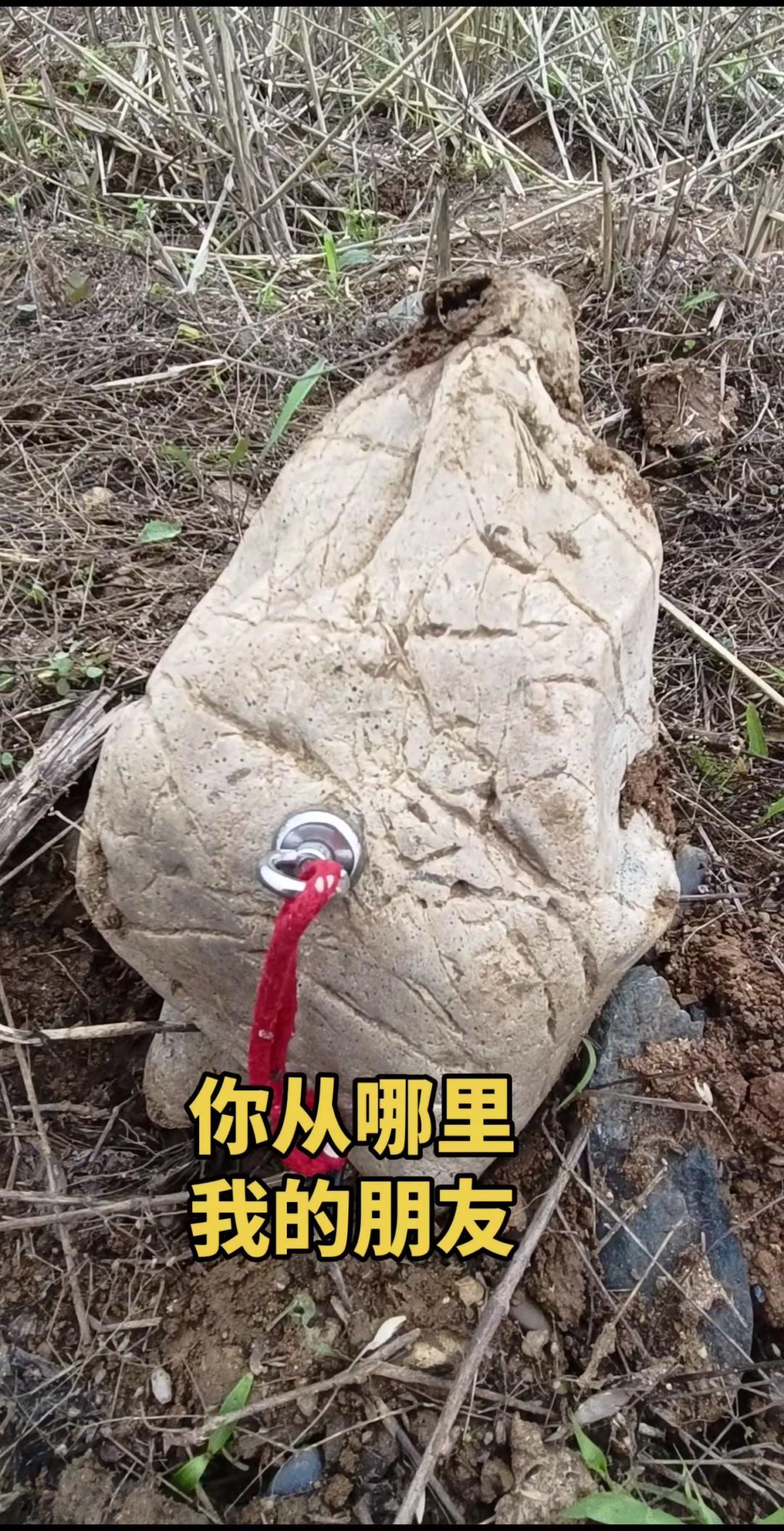 郧山汉水神奇地，又捡一块疑是陨。🌌户外捡石才懂，陨石的纹理里藏着宇宙的故事。这