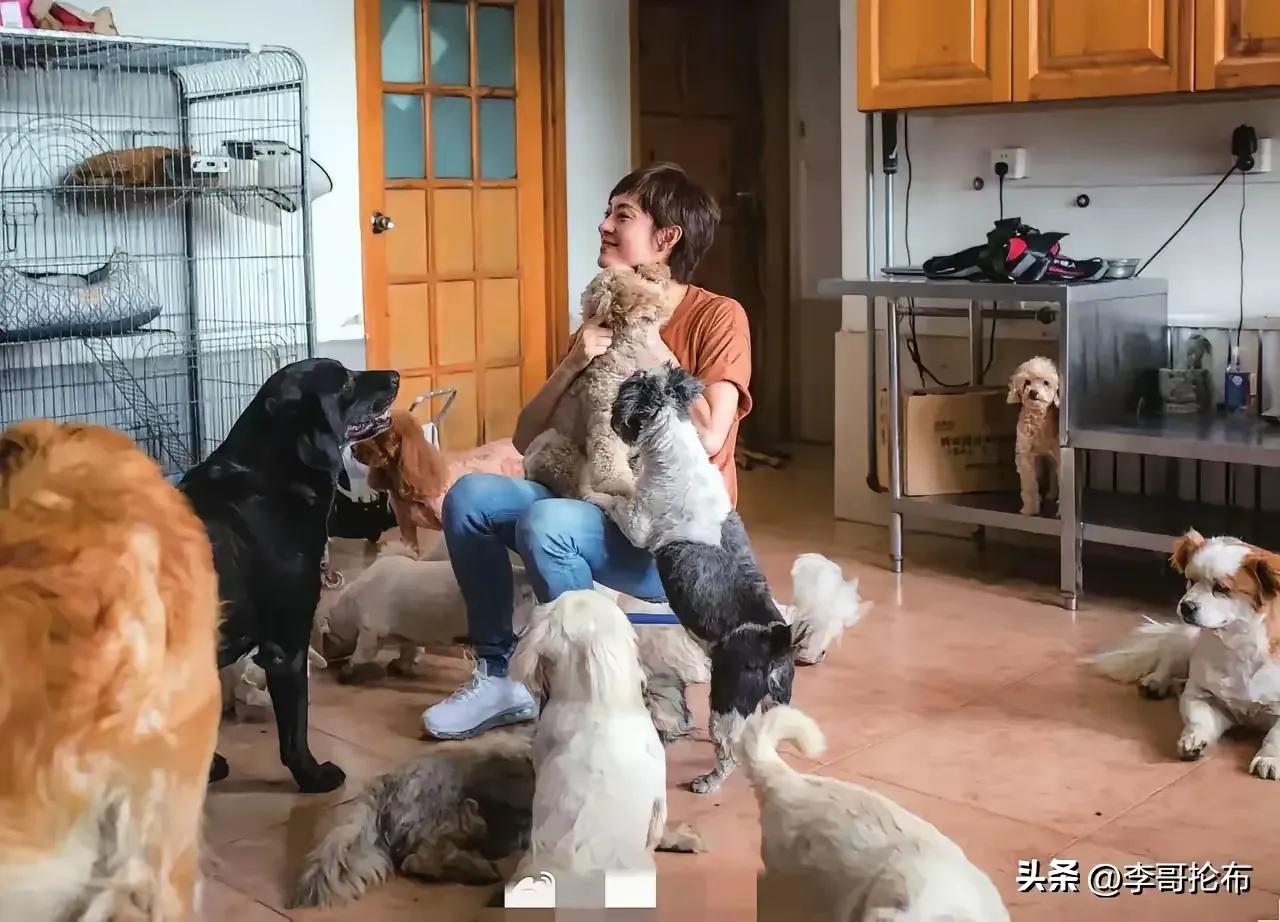 我始终认为积德行善，便能福报平安，福报家人。
原来孙骊也是个热爱小动物的爱心人士