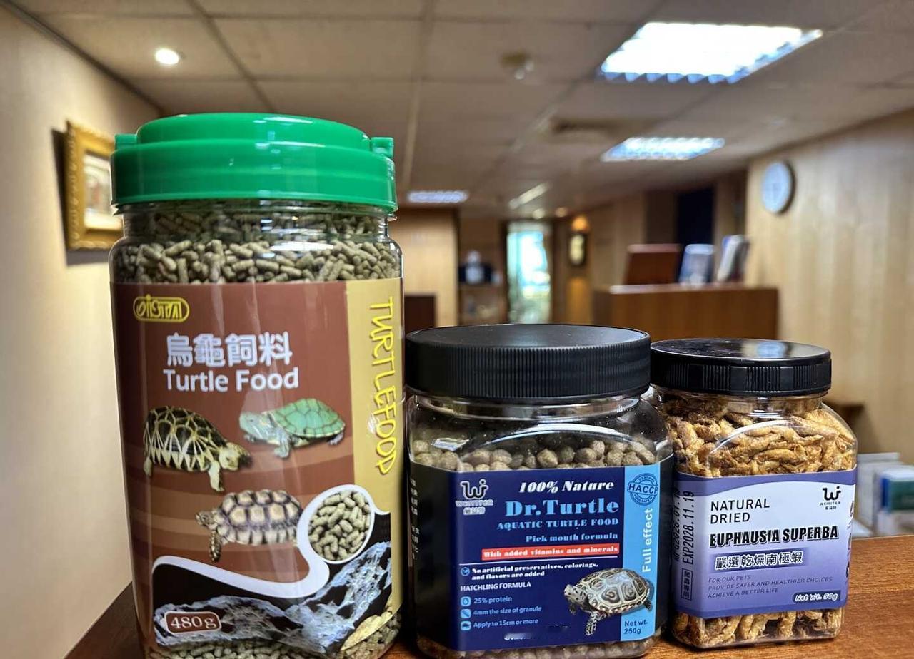 重金換了新飼料，少爺居然絕食了
最近剛給小烏龜換了新飼料，結果直接迎來崩潰大考驗