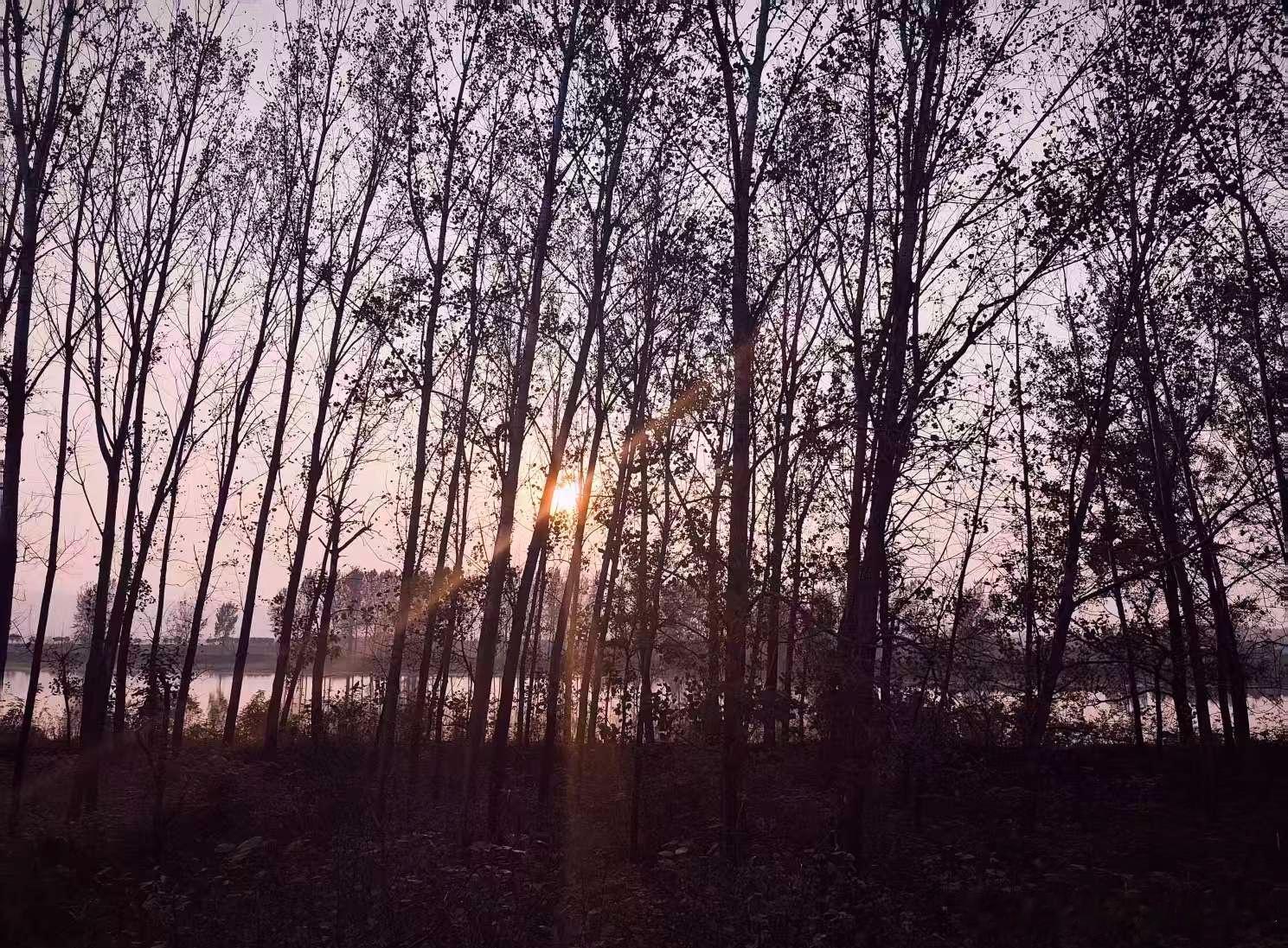 生活手记心态，是岁月最好的答案✨ 有人怕数字增长，我却偏爱把日子过成喜欢的模样。