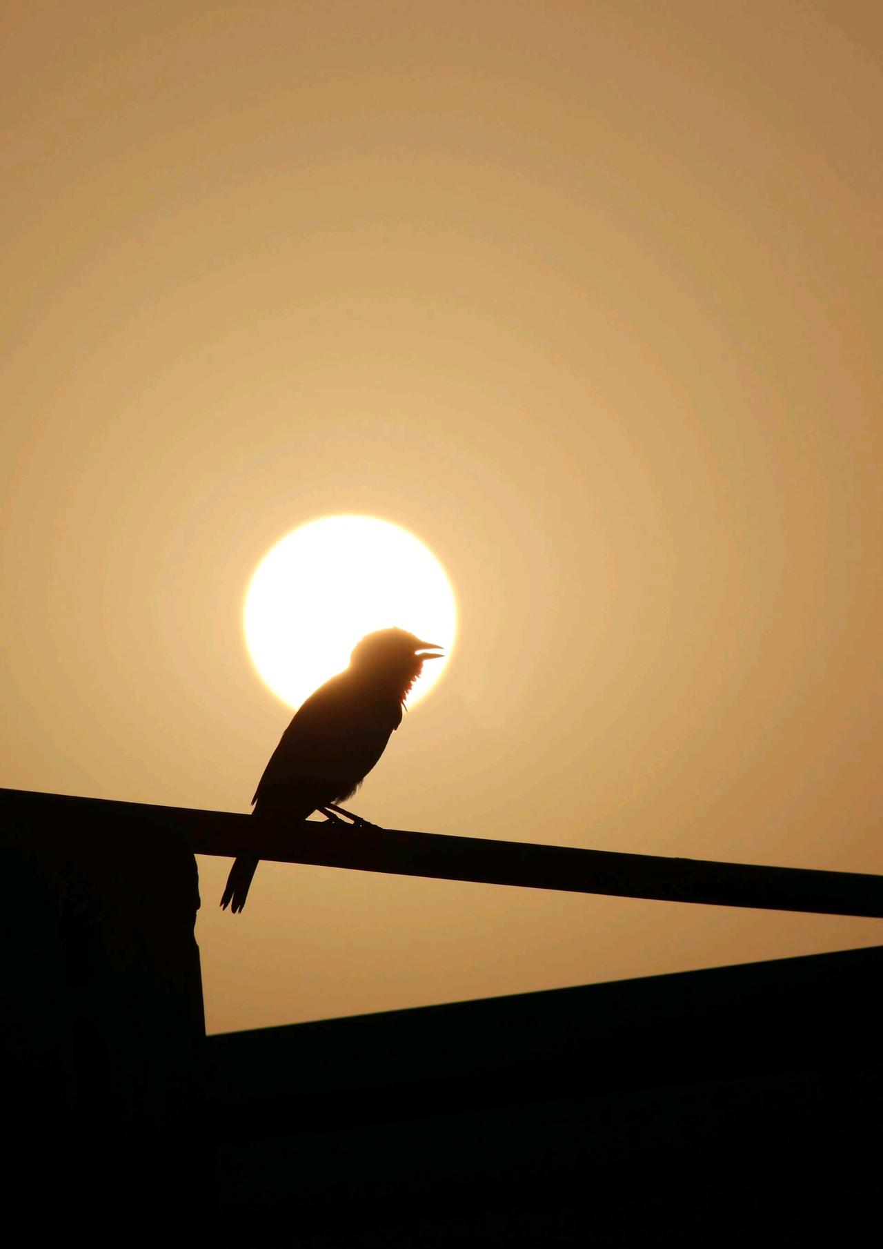 暂停进口日本水产，老李的海鲜店却迎来新商机

老李在海鲜市场干了二十年，最近总听