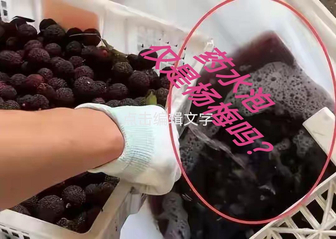 药水泡杨梅的人，这三个“以为”，行业通用

你能辨认出哪个杨梅泡了药吗？个大、鲜