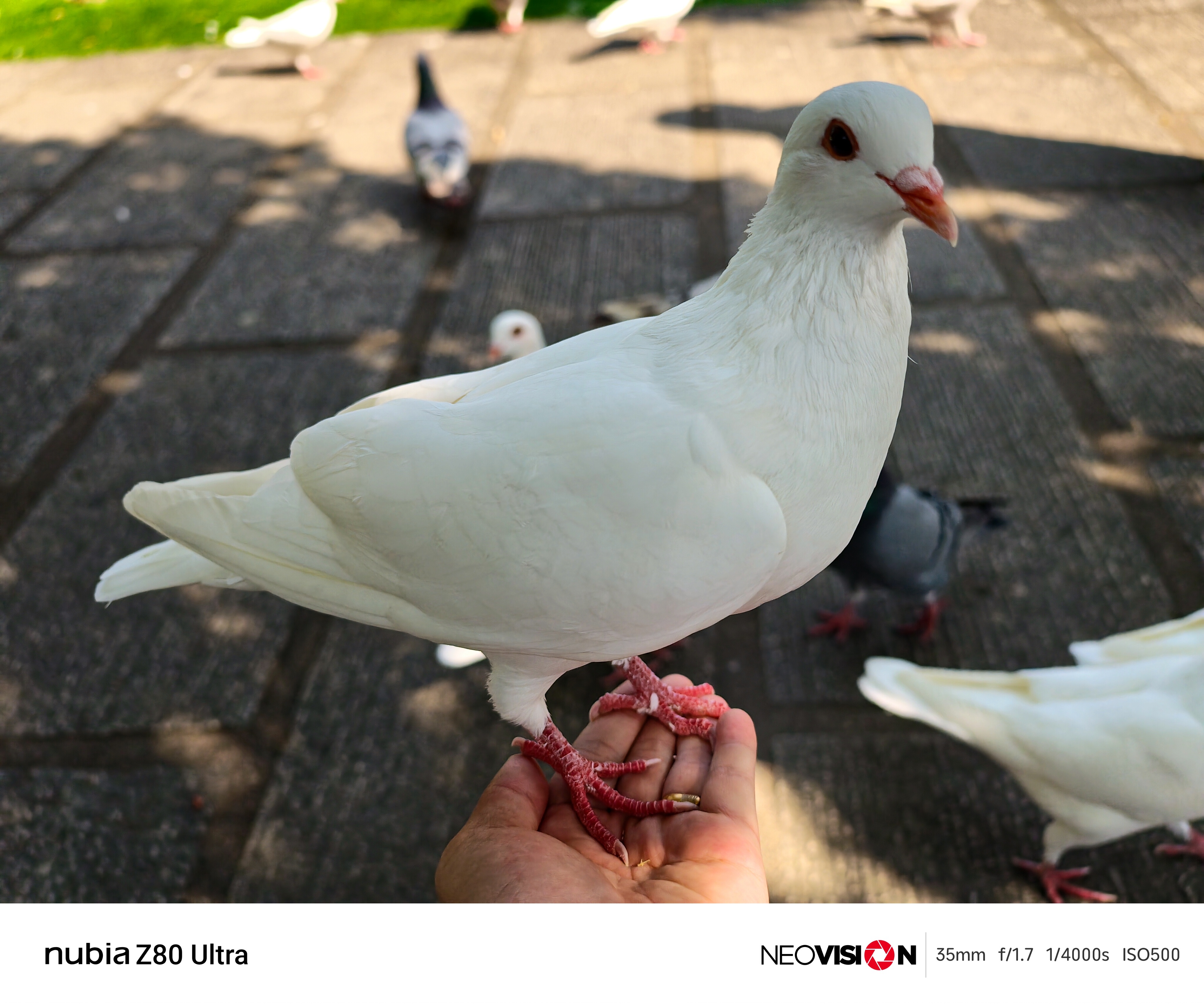 2025年还有半个月就结束了，年初许下的愿望都实现了吗？ 