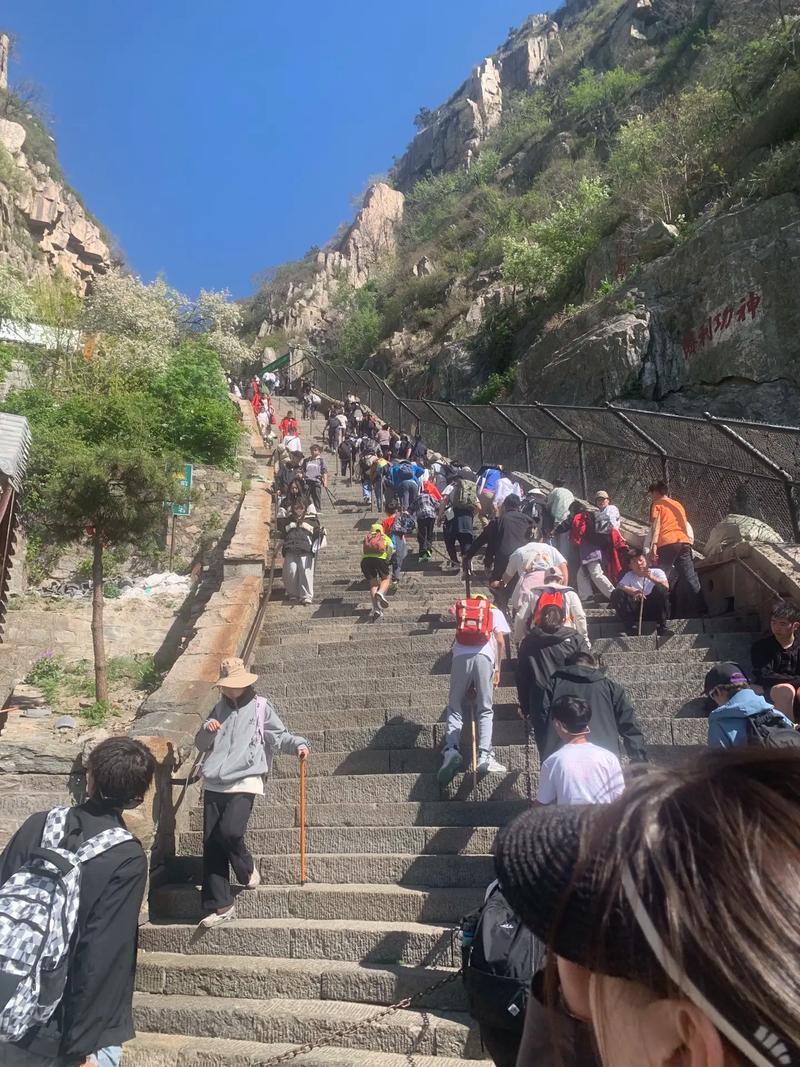 泰山变囚笼，用长达135公里的刀片铁丝网围起来，名义防火防虫，实则防游客如防贼