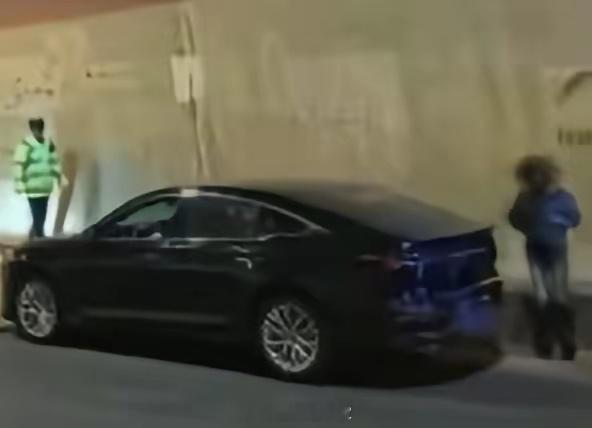 高速狂奔490公里司机要求退车退款这事儿看着真让人手心冒汗，定速巡航失灵狂奔49