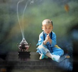 豆蒜爱玩法律