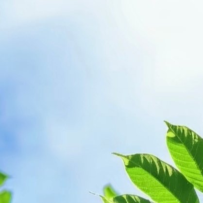 每日一善 努力过，奋斗过，拼搏过，痛哭过，快乐过，就会发现人生终究不会辜负你。那