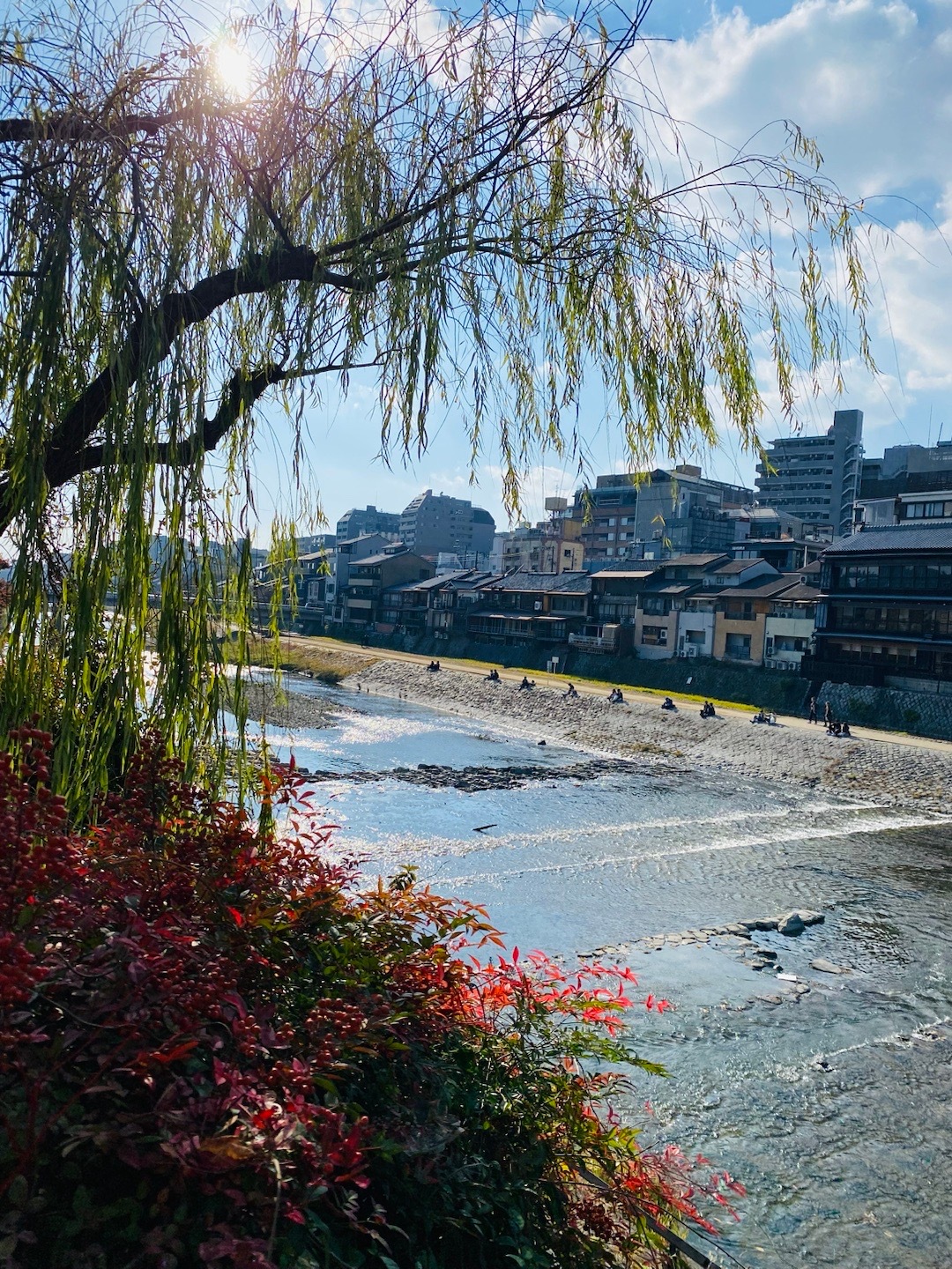 #旅行[超话]##日本[超话]# 鸭川的午后。  ​​​