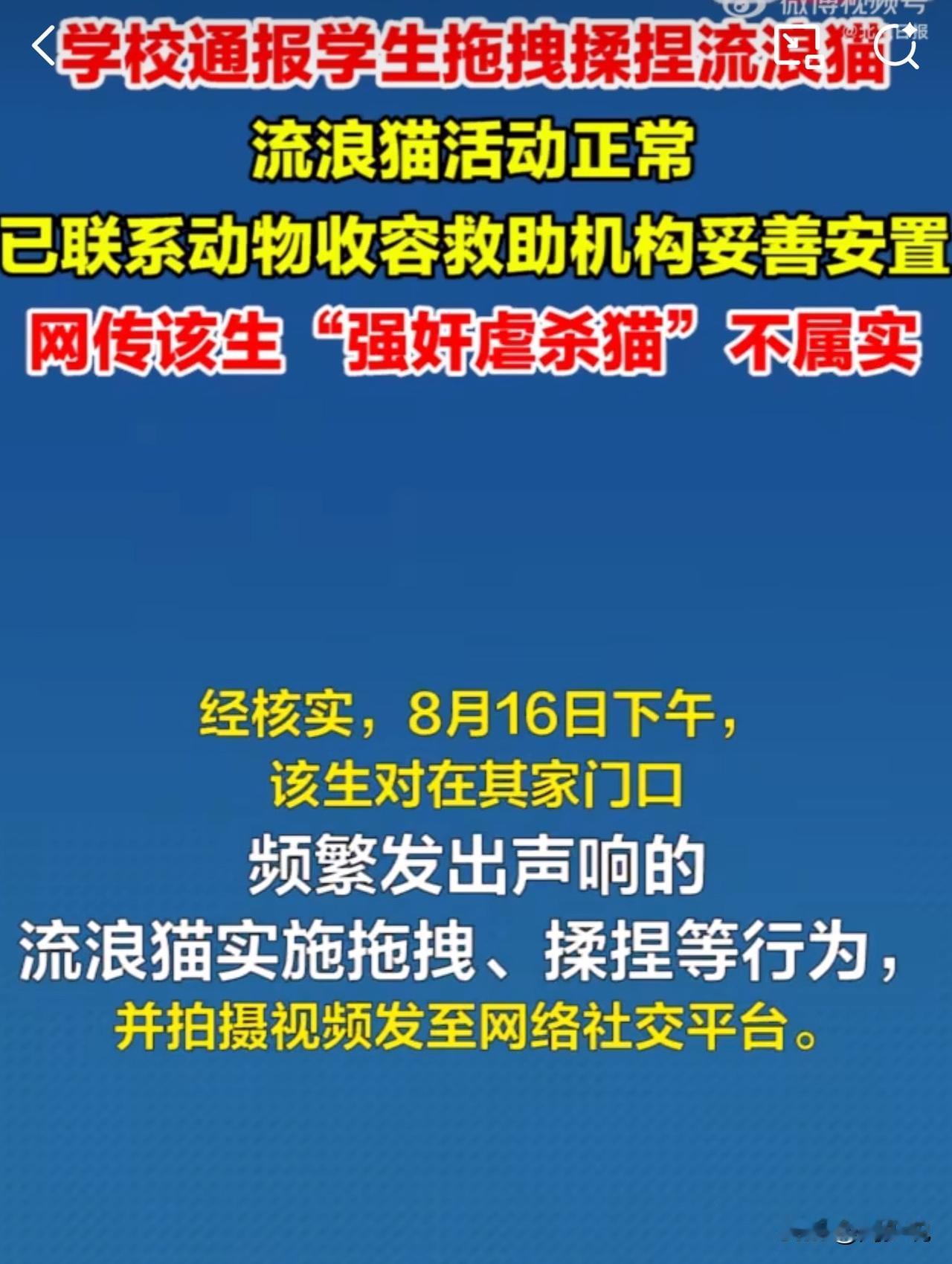 #MCN双量进阶计划#银川学生拖拽流浪猫引争议，校方通报：网传“强奸虐杀”系恶意