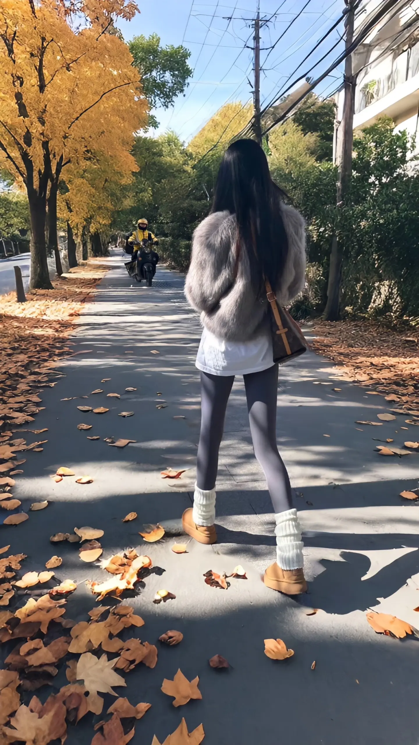 鲨鱼裤 堆堆袜的美 谁懂啊
