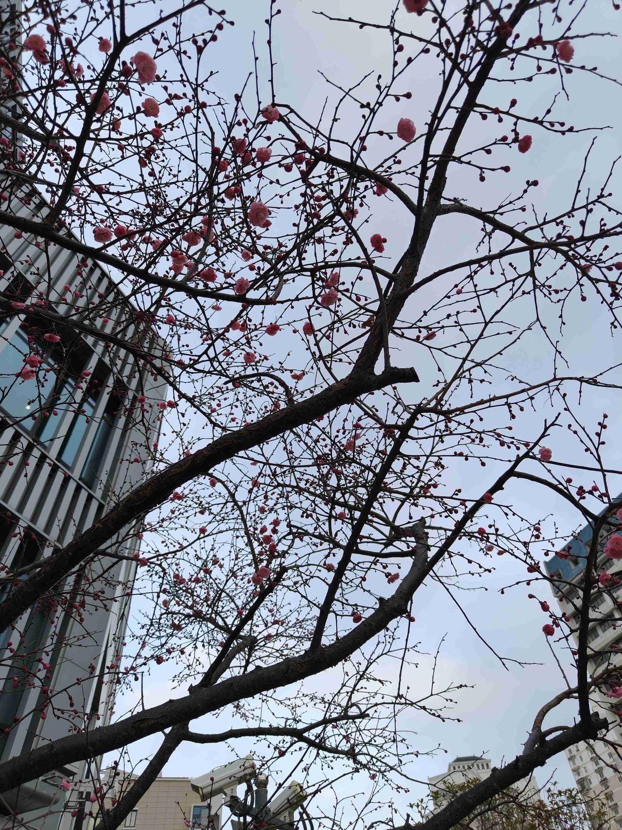 我的今日状态：💰期待暴富
我这里的天气：🍂微风