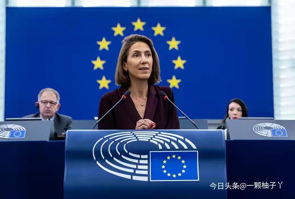 最近中欧在国际会议上出现立场分歧，双方进行了公开正面交锋，态度都比较明确。随后欧