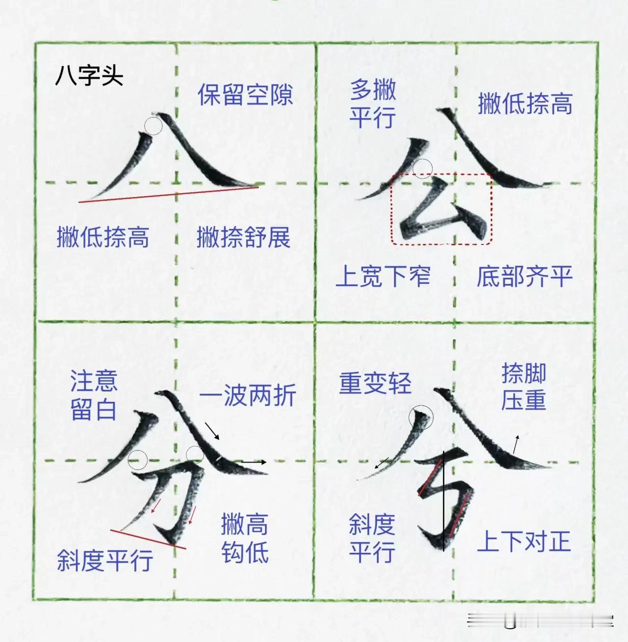 硬笔楷书偏旁部首字卡10【八字头】，收藏起来 ​

八字头的书写规律： 
1.撇