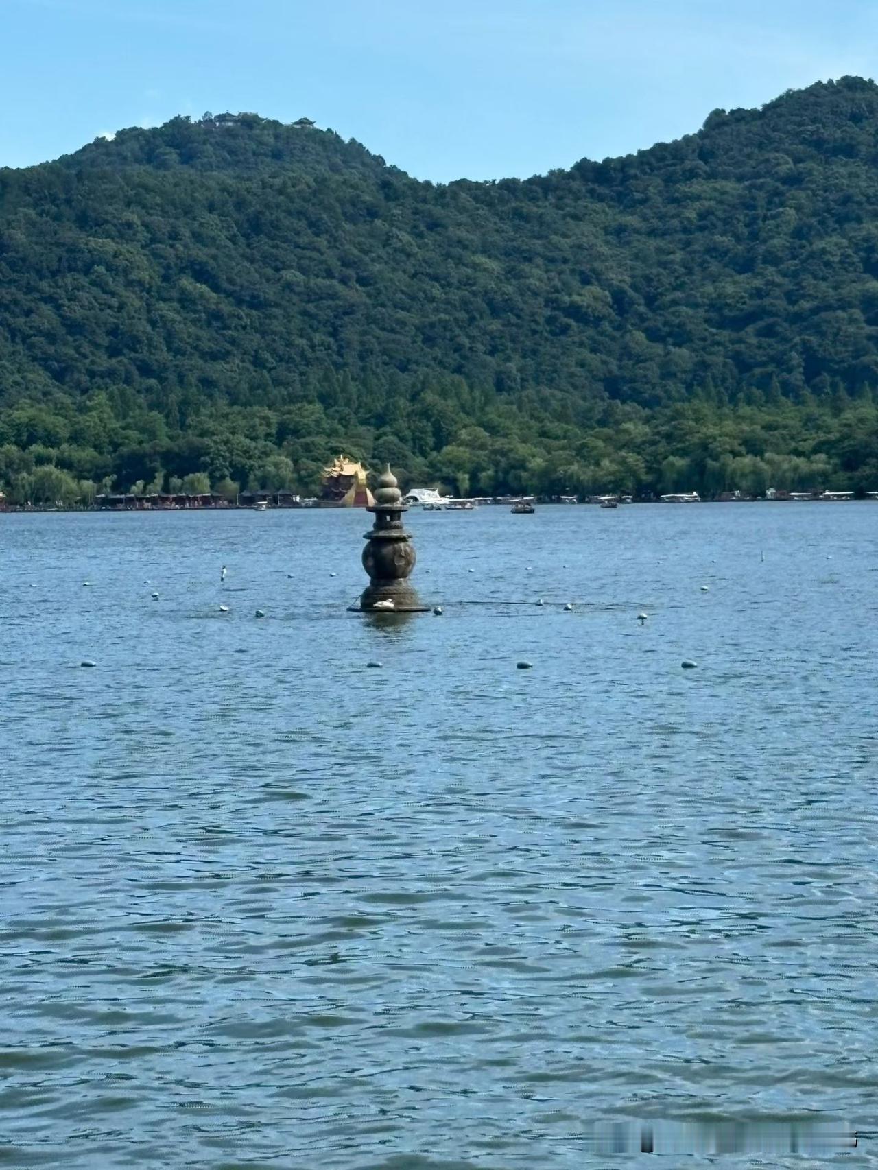 夏日生活打卡季