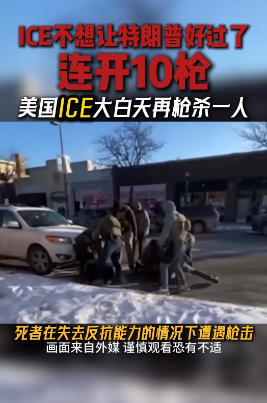 美国的ICE是特朗普的猪队友
七八个所谓的执法人员
摁倒一个手无寸铁的人
我数了
