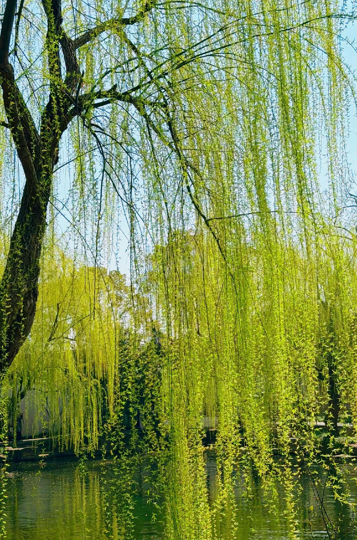 夫妻之间最重要的是：钱、情绪价值和性生活。性生活和谐了，经济问题解决了。性生活和