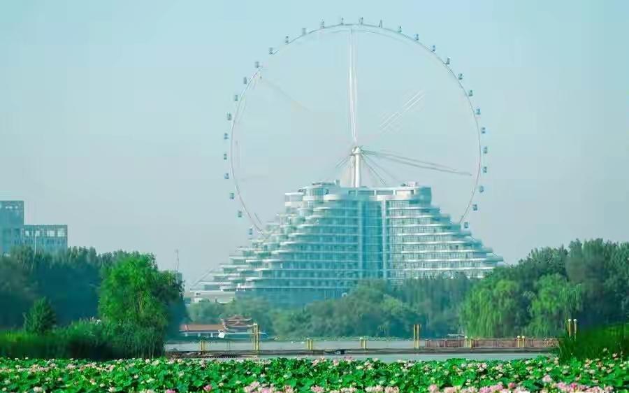 芒种一过，咱们聊城夏天的“重头戏”荷花，也该粉墨登场啦！

作为“江北水城”，没