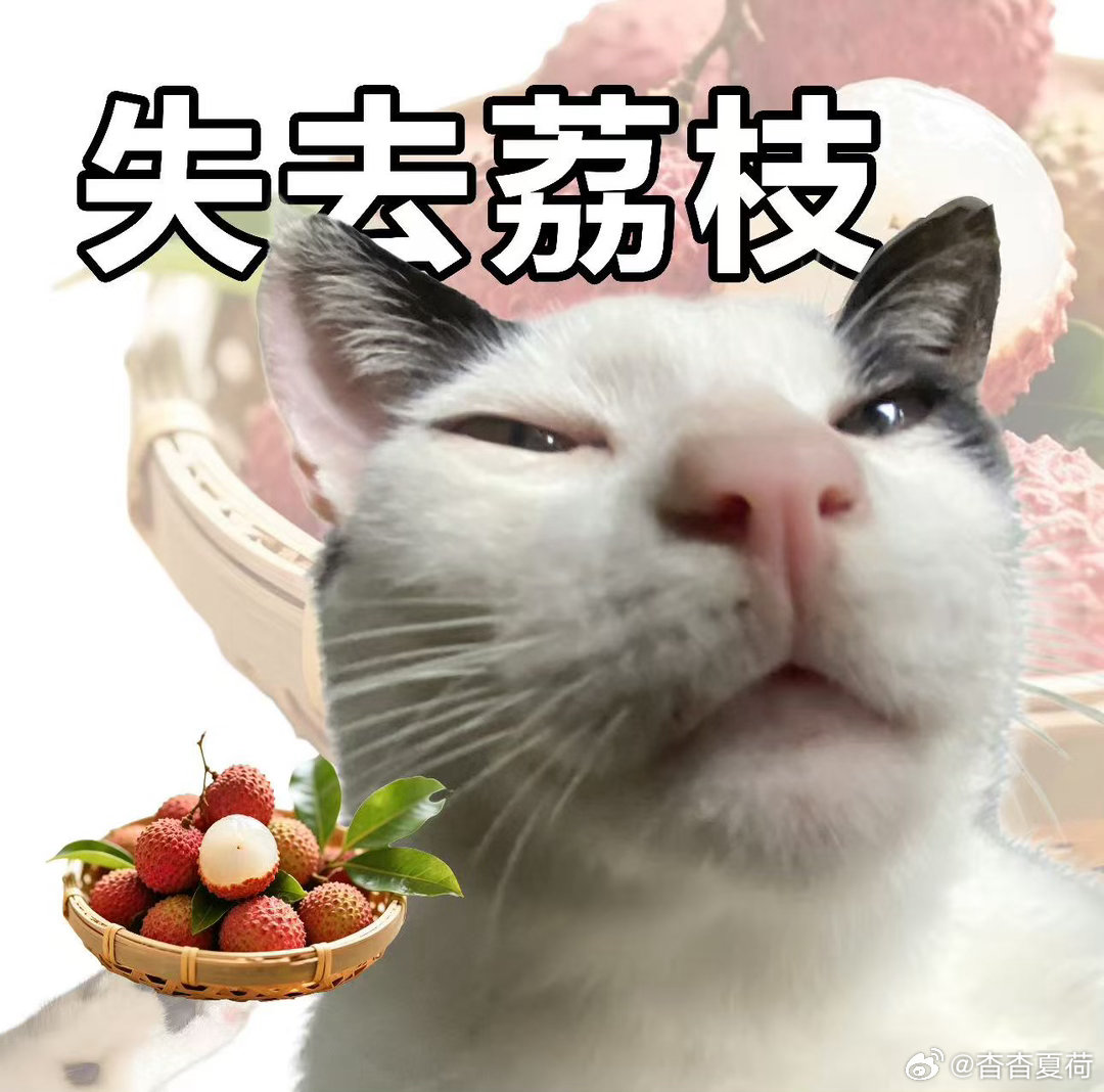 珠海荔枝鲜到西安人还没登机珠海荔枝先坐上头等舱💡科技改变鲜果运输，不用再劳烦驿