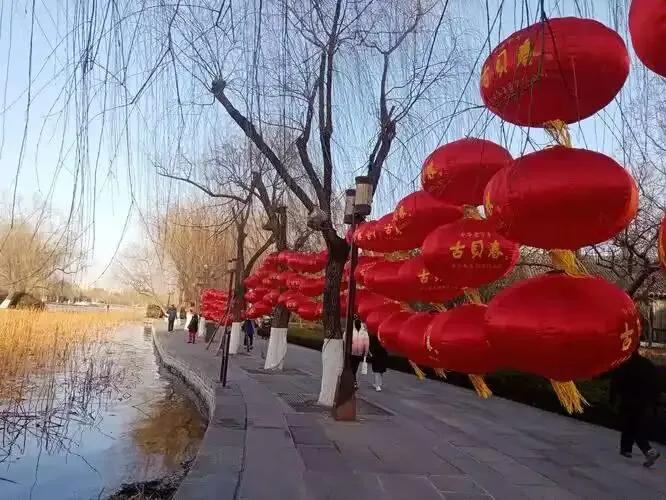 《年味渐浓》


红 灯 高 处 挂，
玉 树 满 枝 花。
节 日 氛 围 起