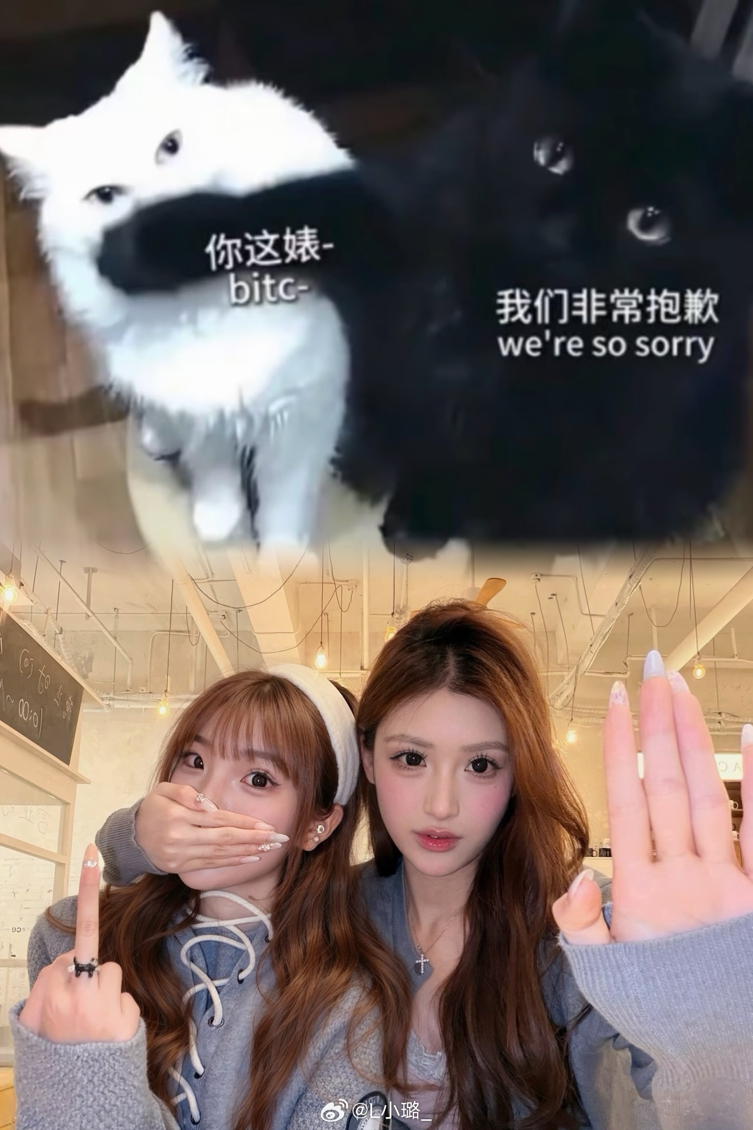 💭 一些…萌物日记！ᕱ⑅ᕱ 