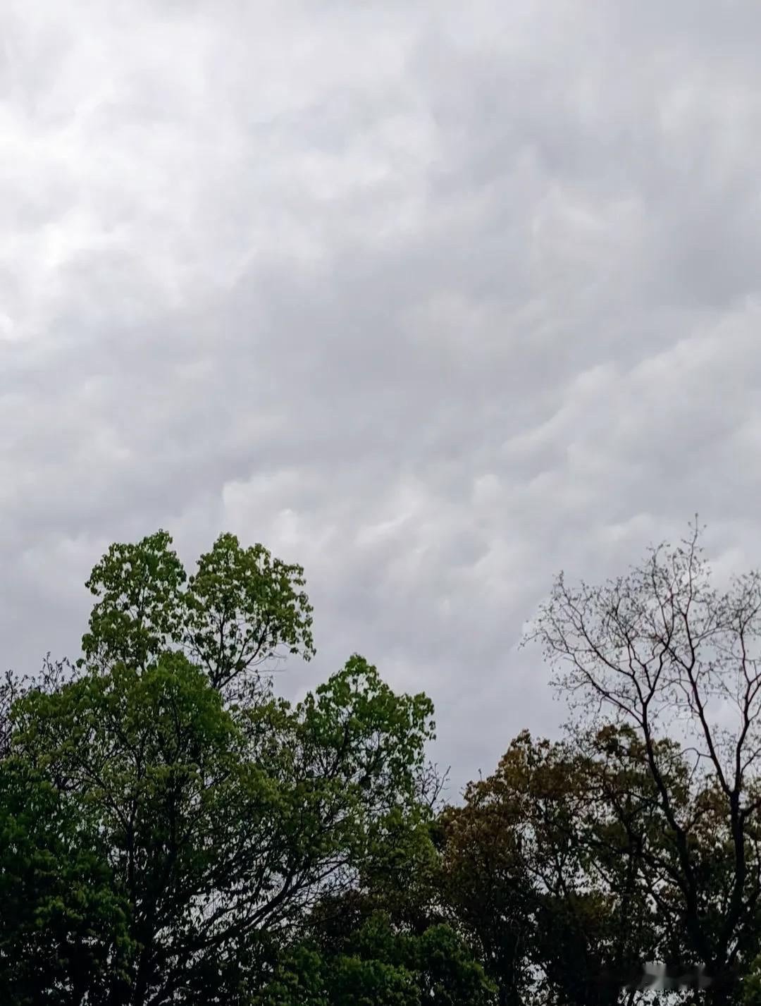 想问问龙王🐲，广东的雨什么时候能休息休息？龙王这次发力，是不给自己留活路的节奏