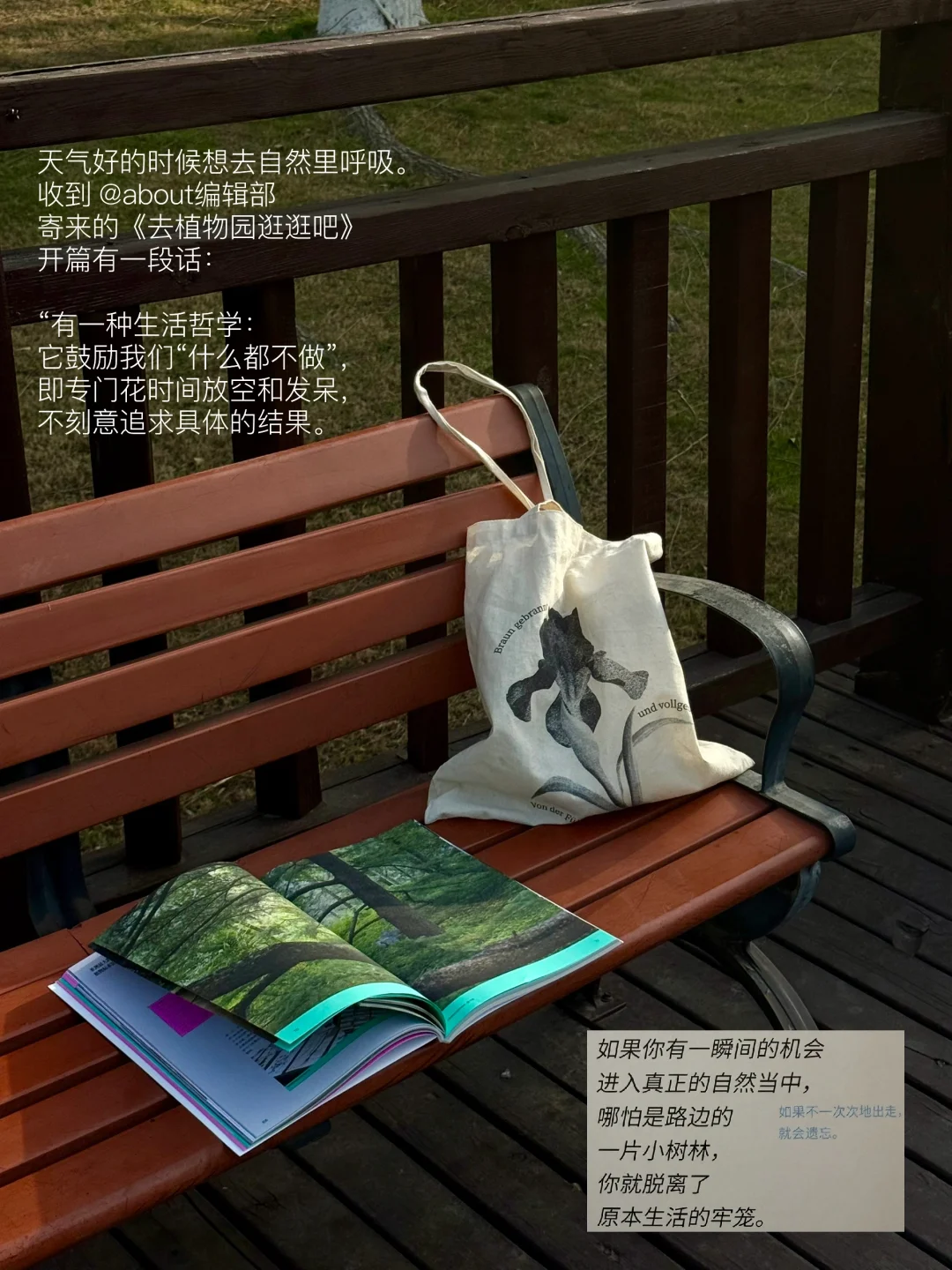 在树下，在发呆，在放空，在享受阳光。