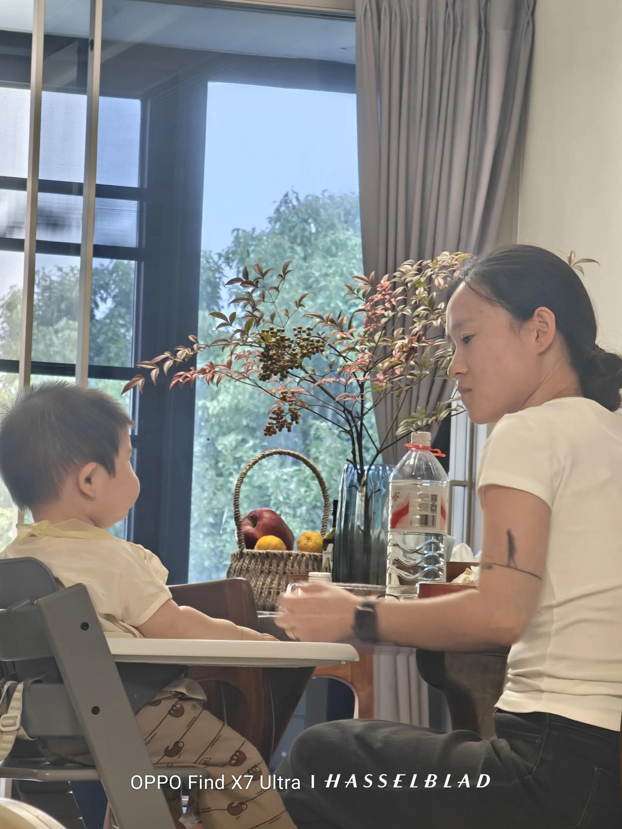 中午时分，苏城天色转晴。窗外香樟浓绿，室内清凉宜人。这是西瓜的午餐时光。
