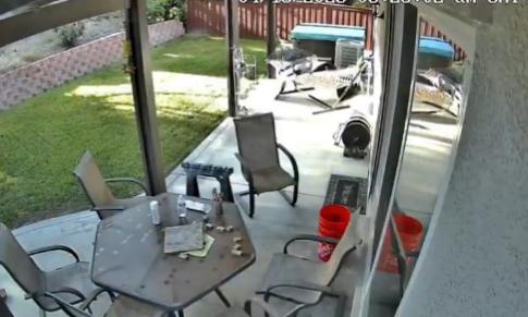 【你出门买咖啡——结果院子里出现了一个载有13名乘客的热气球】在加利福尼亚，一名