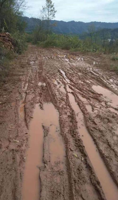 四川宜宾青龙村10组村民，曾于2014年、2022年两次众筹30万元，计划硬化3