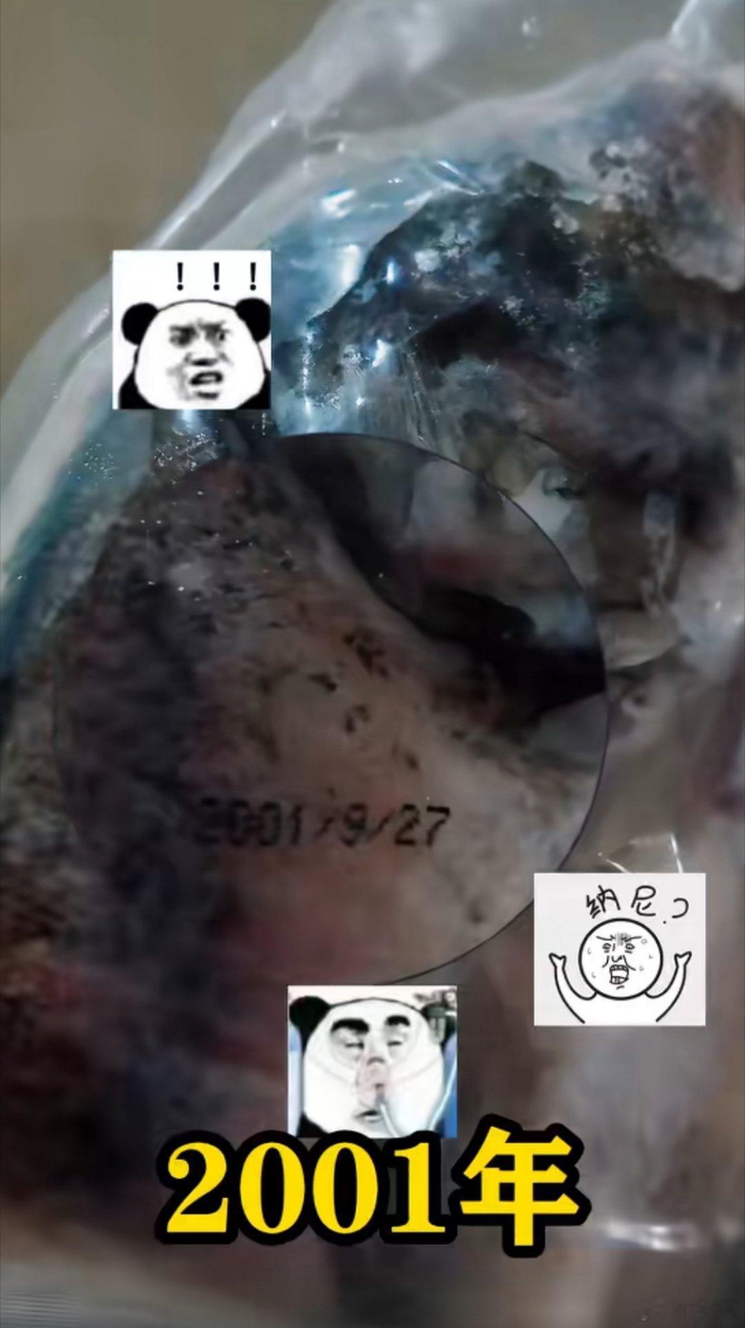 好家伙，这条冻鱼比我还大[允悲] ​​​