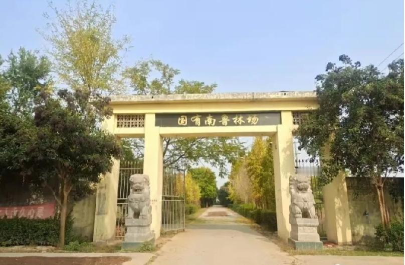 成武县南鲁林场

位于县城东北部，距县城18公里，南鲁集镇以东8公里处刘岗村东安