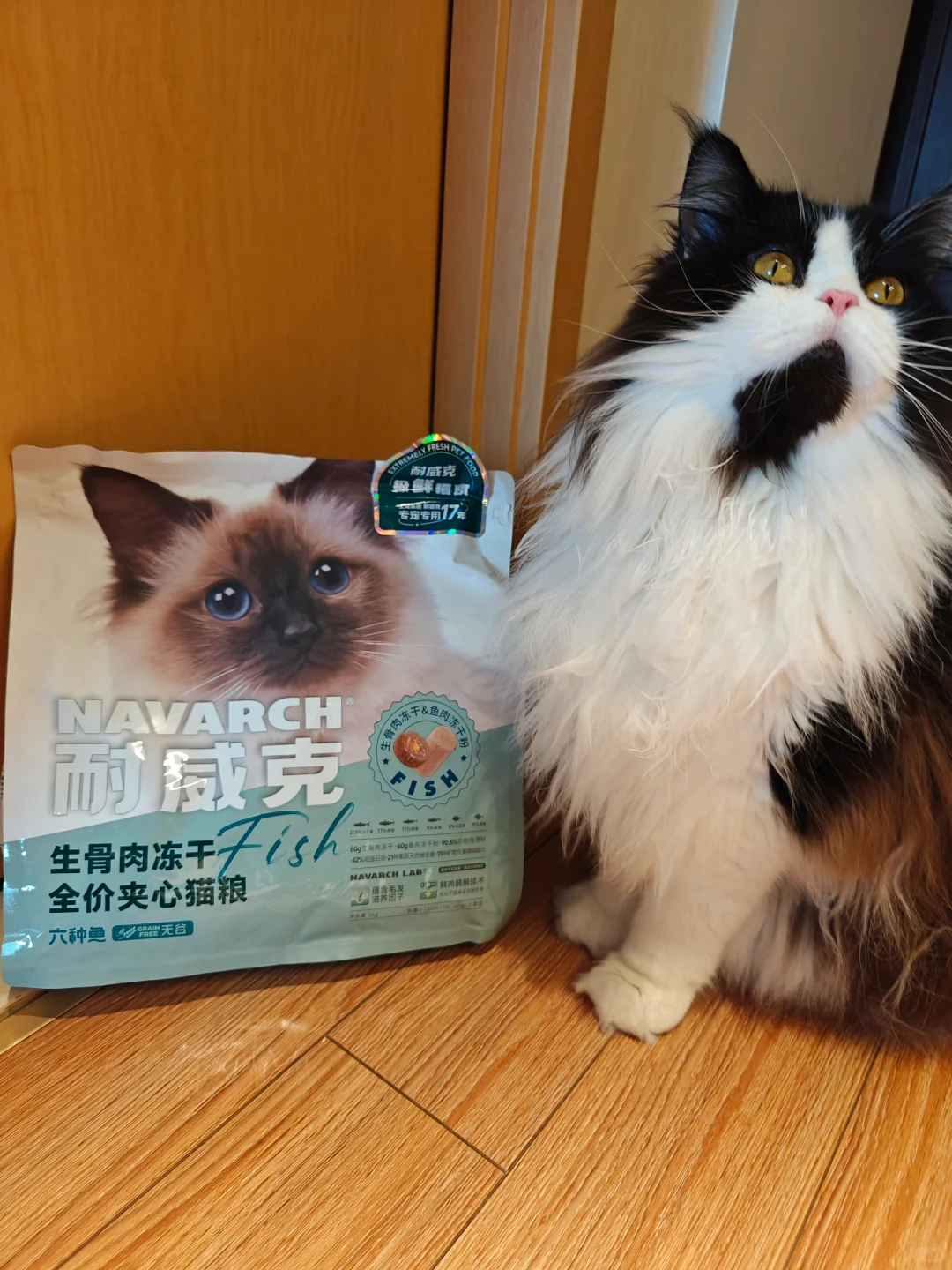 喂对猫粮，一步告别猫咪牌蒲公英！