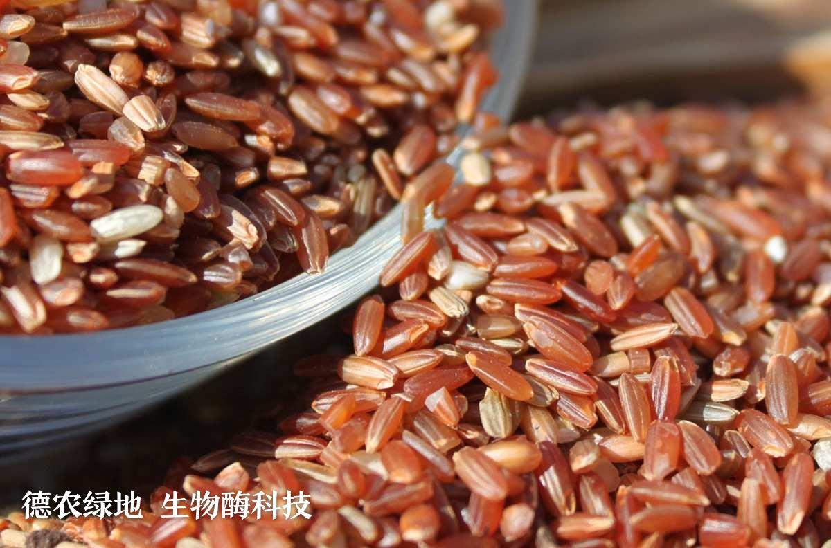 德农绿地生物酶科技，红稻米，即胭脂米，全称为“御田胭脂米”，是一种极为珍贵的作物