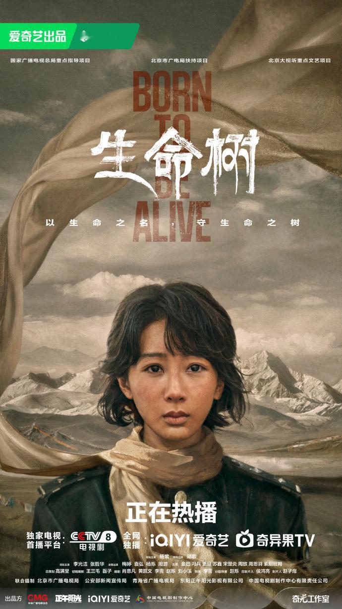 杨紫白菊是高原上的铿锵玫瑰杨紫以生命之名守生命之树杨紫以生命之名，守生命之树，杨