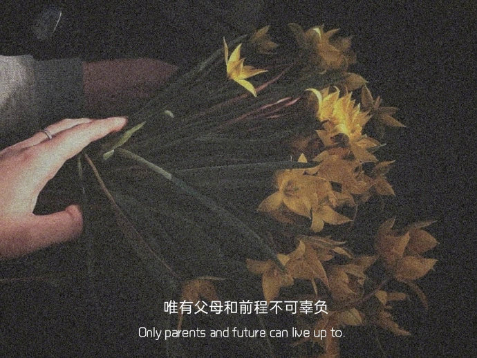 人的一生无论重来多少次，都会有遗憾，你可以回头看，但不要往回走，因为逆行是全责。