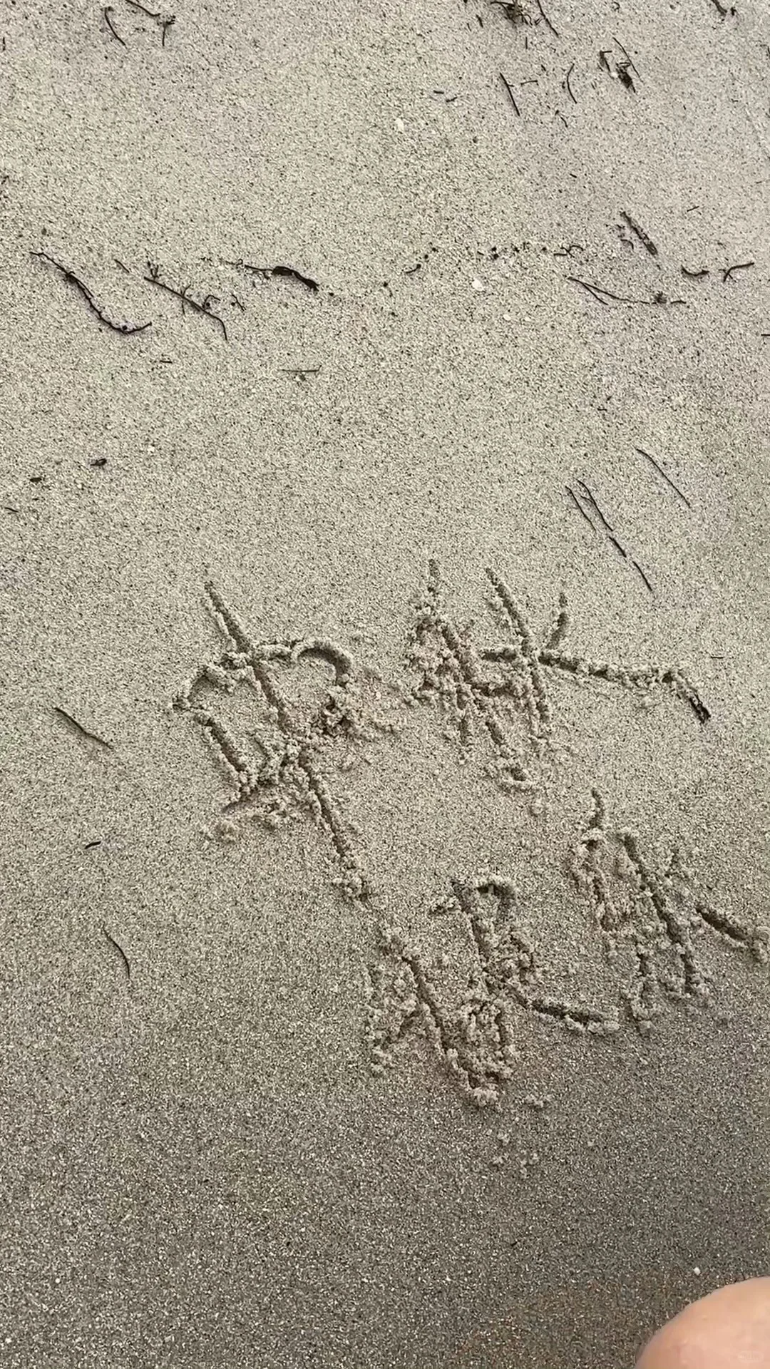 黄色的毛巾，天边的一抹炭火𓆩♡𓆪
