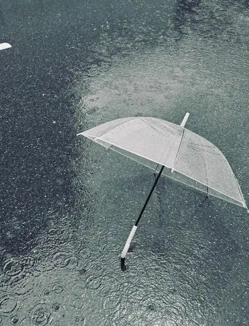 暴雨过后警惕这5类疾病前段时间暴雨天，出门前总习惯性点开AI问问。它会说哪段路积